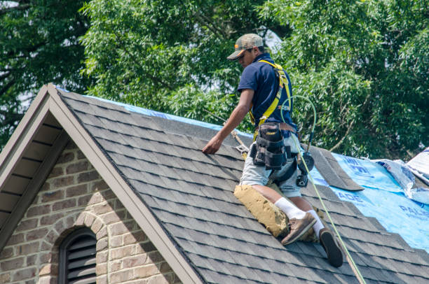 Professional Roofing Contractor in Patrick Springs, VA